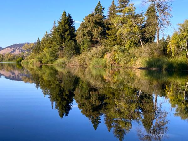 /Images/uploads/Sonoma County Regional Parks Foundation/springlake50/entries/28965thumb.jpg